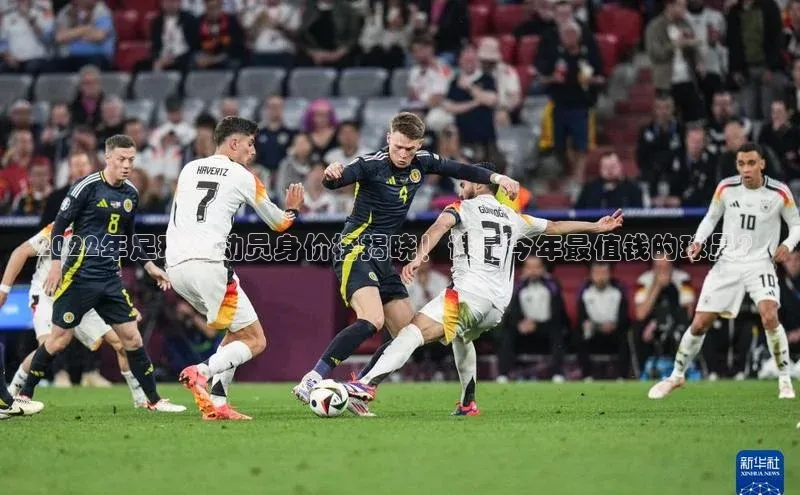 人生就是博·(中国)观星盘