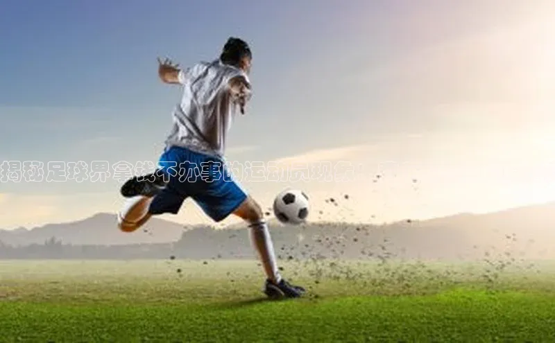 尊龙官网登录人生就是博登录小米