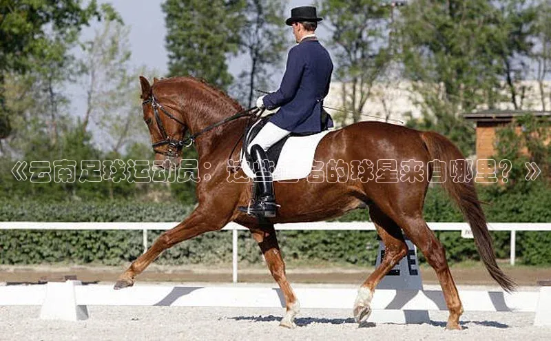 尊龙凯时人生就是搏江铃新能源