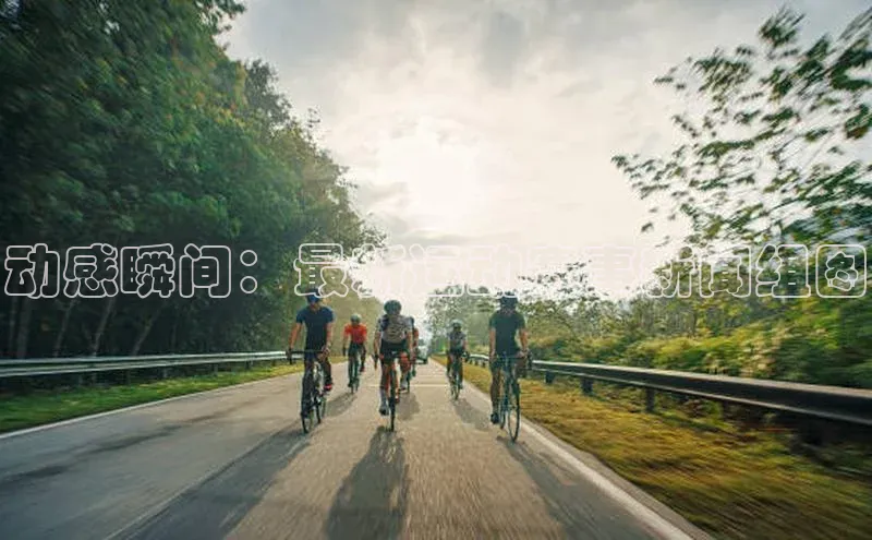 尊龙凯时人生就是搏z6com