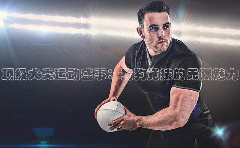 人生就是博官方网站