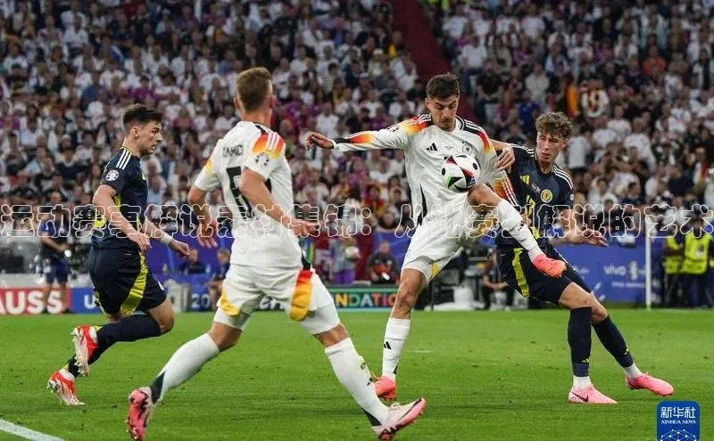 人生搏中国官网入口